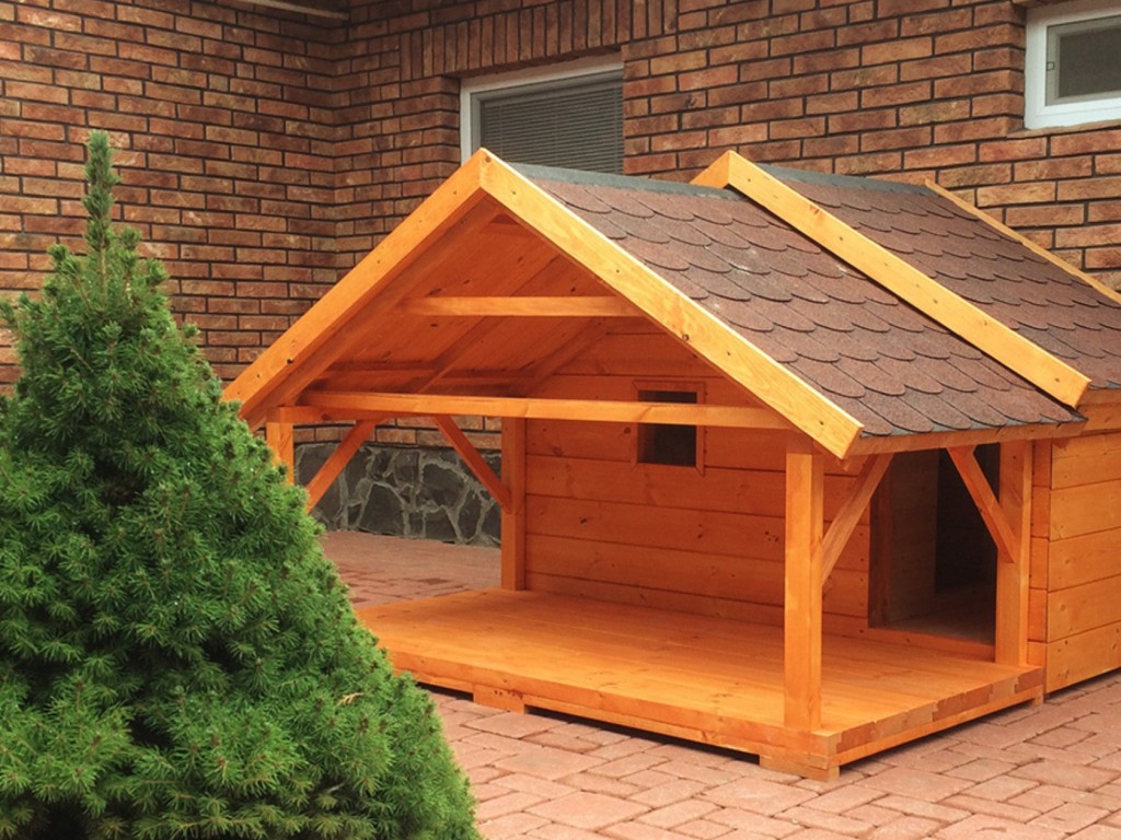 3+1 extra, amivel egyedivé teheted a kutyaházat