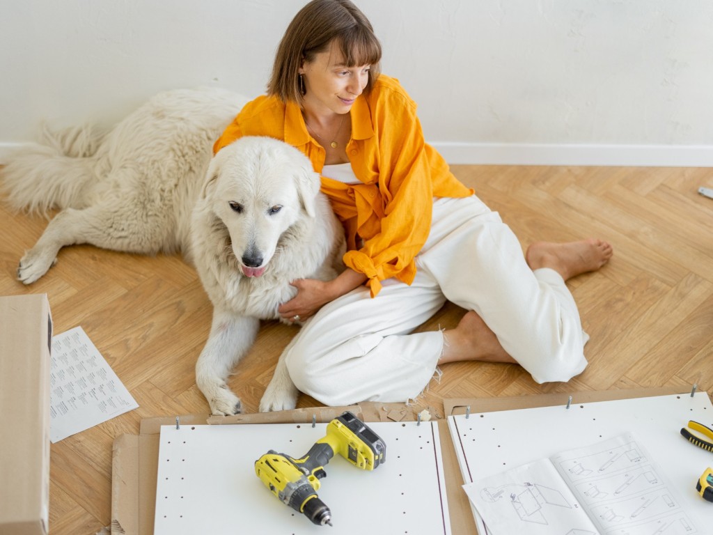 Lapraszerelt vagy készen szállított kutyaház? Melyiket válasszam?