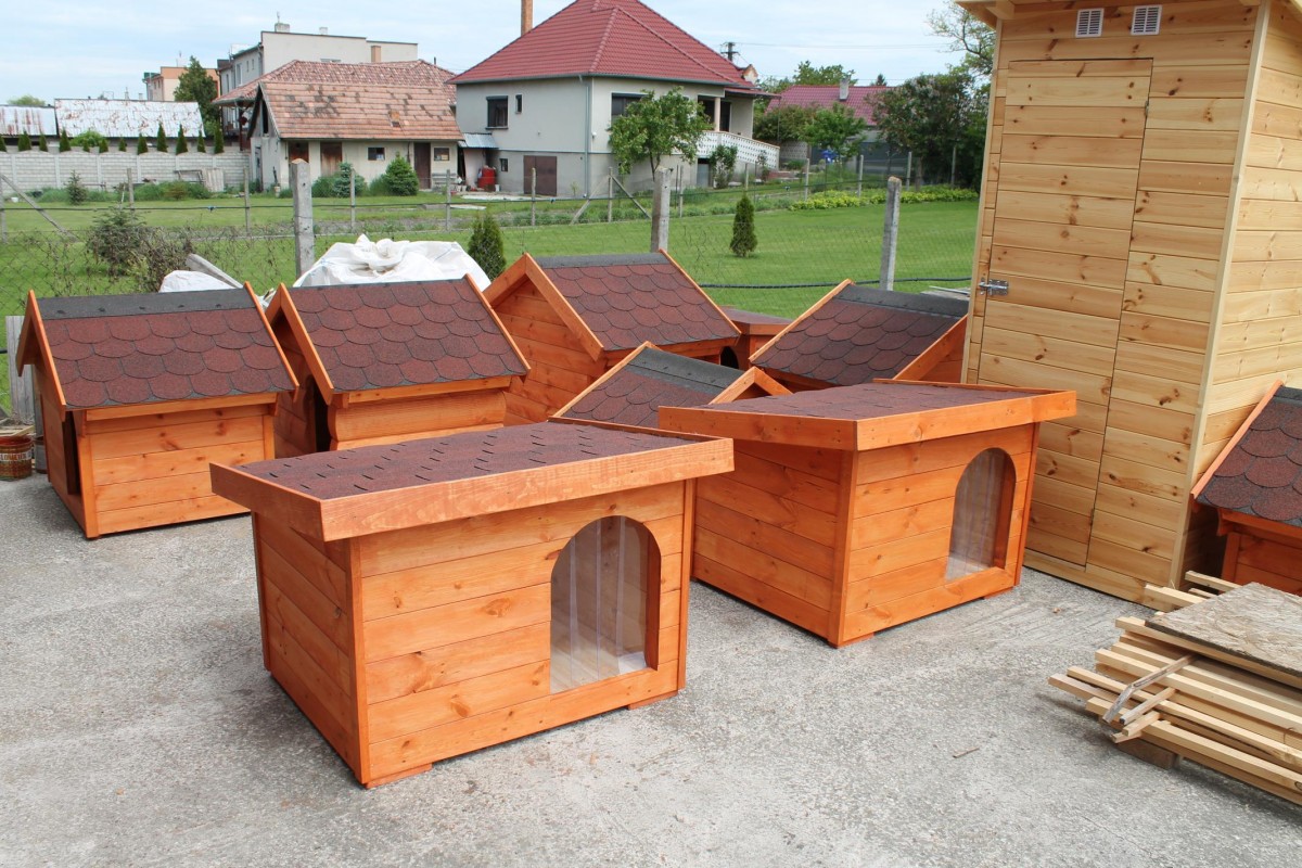 Dexter isolierte Hundehütte