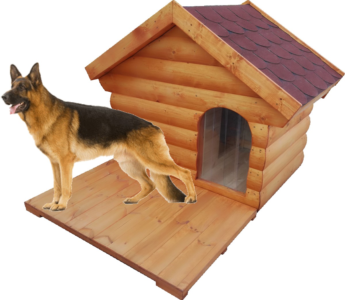 Cezar isolierte Hundehütte