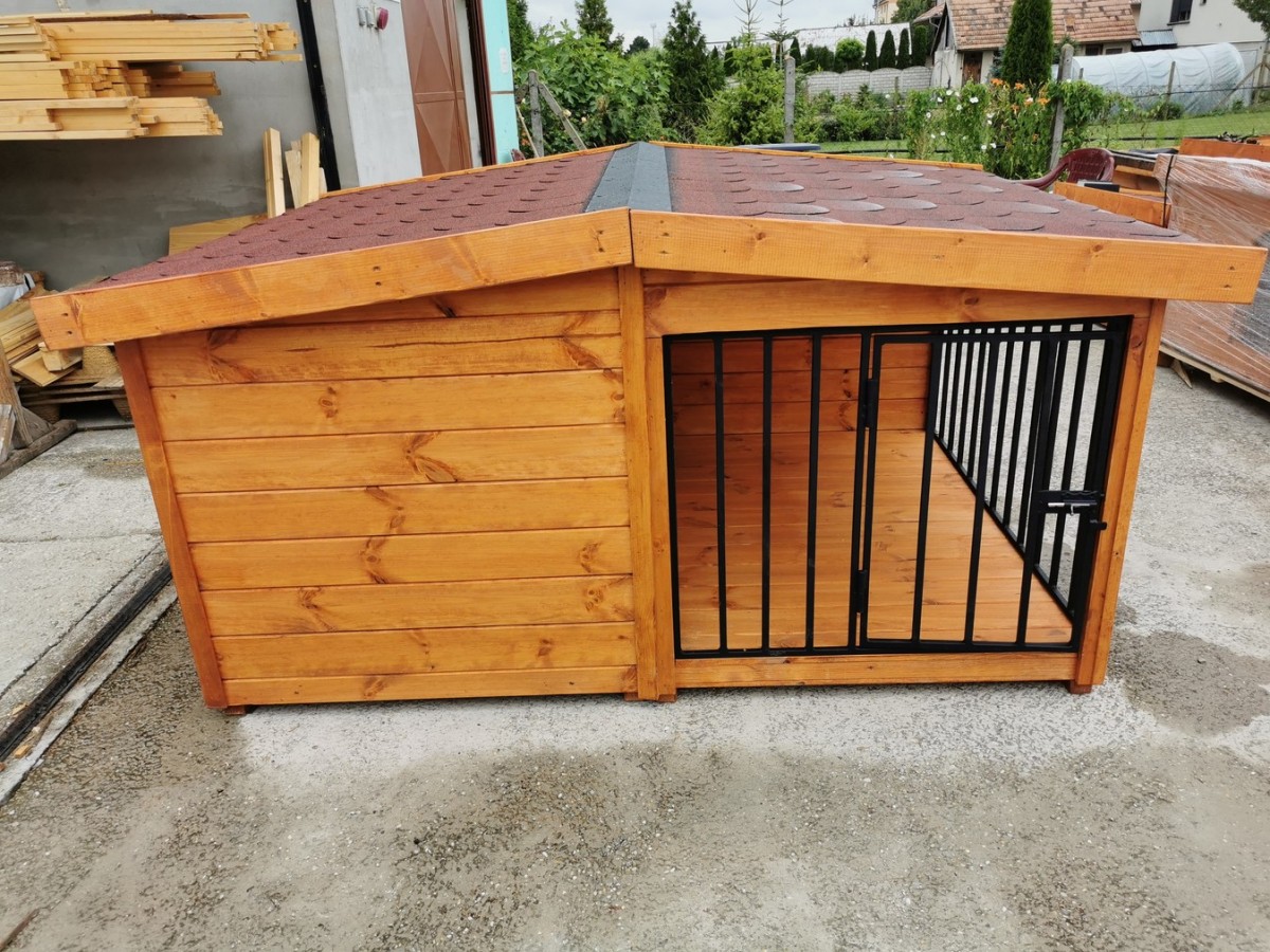 Rex isolierte Hundehütte