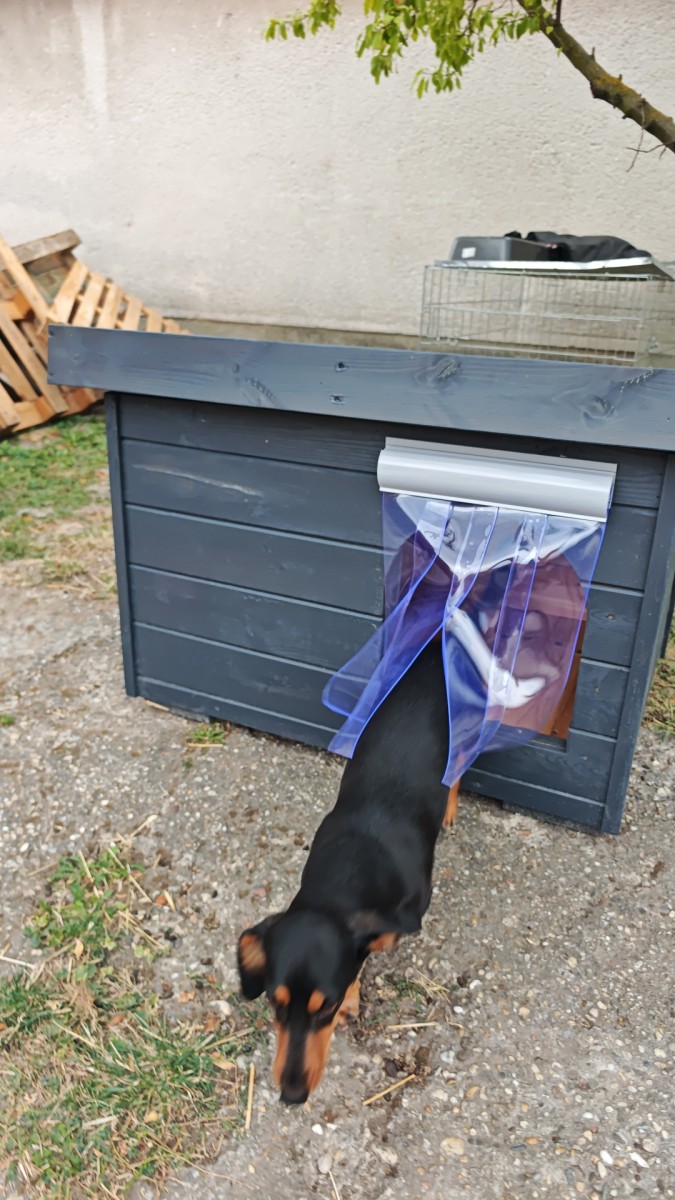 Zusätzlicher Thermovorhang für den Eingang der Hundehütte – ThermoShield™