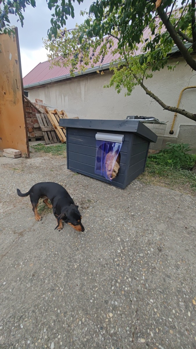 Zusätzlicher Thermovorhang für den Eingang der Hundehütte – ThermoShield™